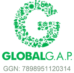 Global GAP