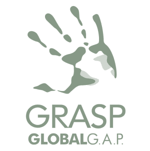GRASP