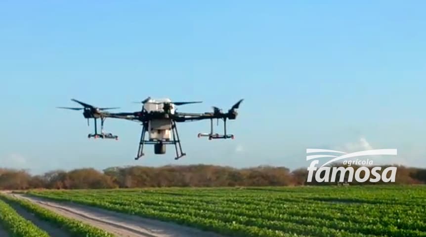 Drones Que Elevam Eficiência, Sustentabilidade e Qualidade