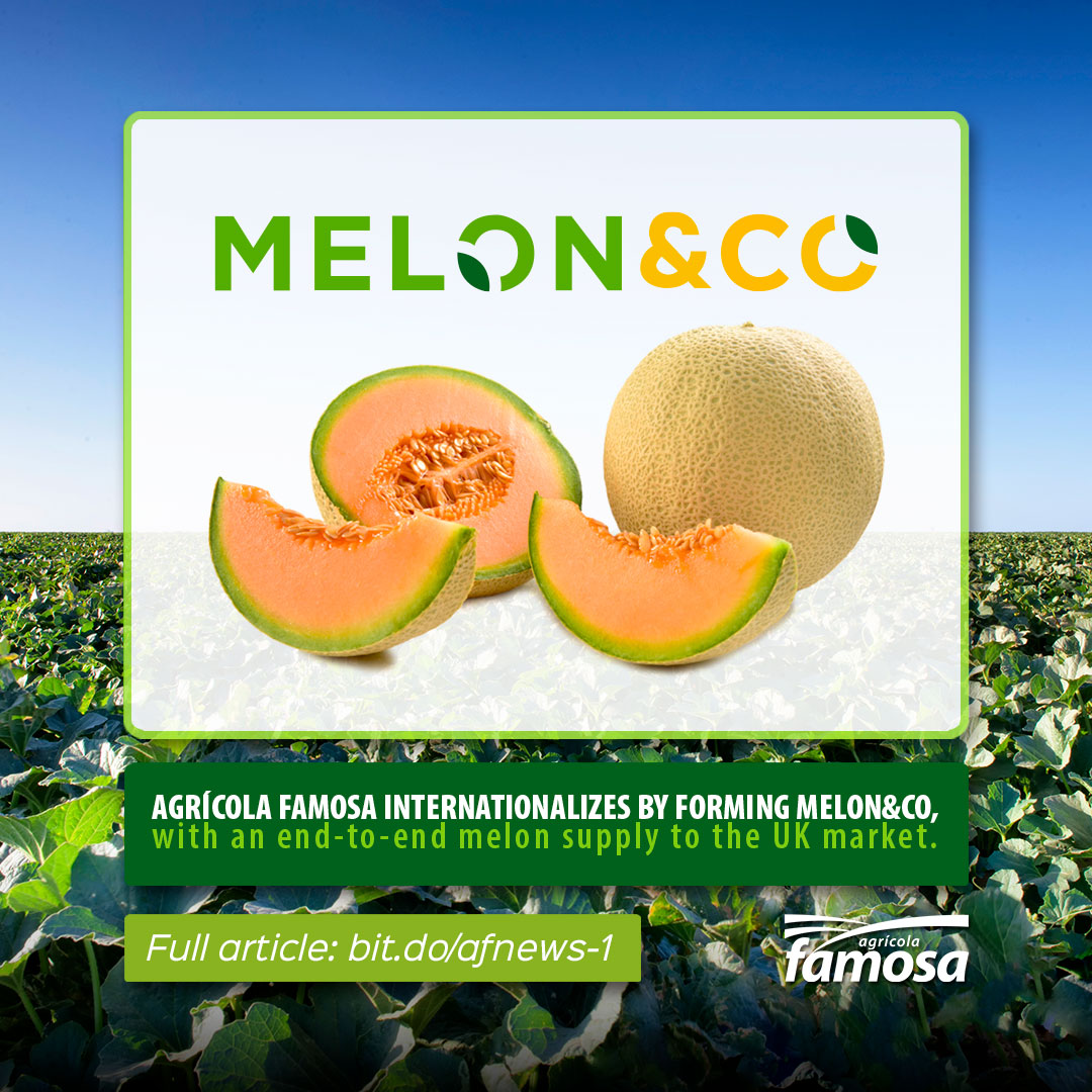 Melon&Co, recently formed by Agrícola Famosa to supply the United Kingdom. 💚🌱🍈🇬🇧