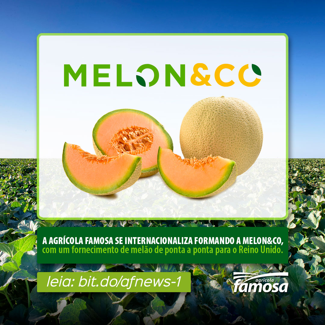Melon&Co, a mais nova empresa formada pela Agrícola Famosa para atender o Reino Unido! 💚🌱🍈🇬🇧
