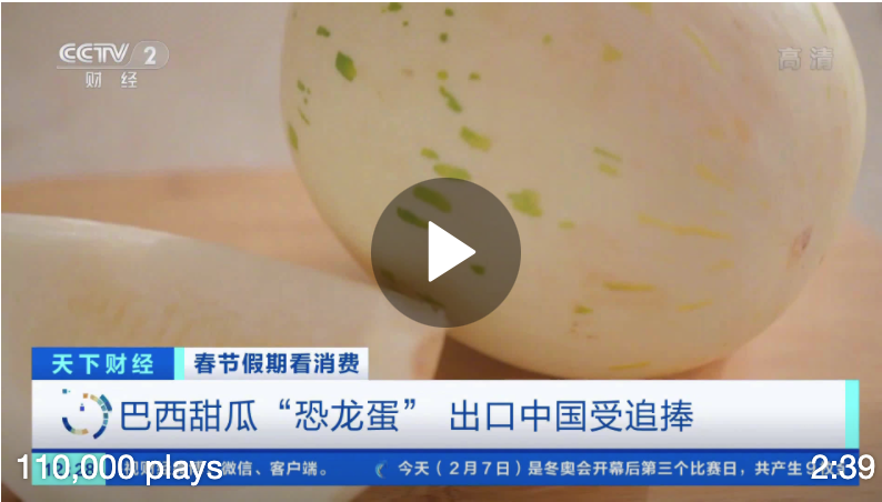 Brazilian dinosaur eggs become a hot new year item. China is the world’s largest melon consumer market.